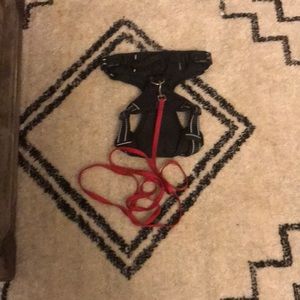 Thin red leash and small black harness